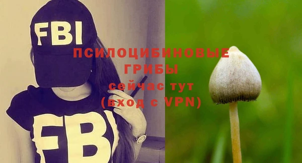 спайс Киренск