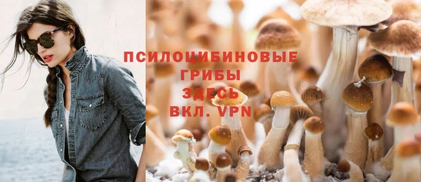 ГАЛЛЮЦИНОГЕННЫЕ ГРИБЫ Кинешма