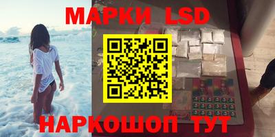 Альфа ПВП Новодвинск