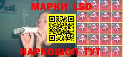 Альфа ПВП Новодвинск