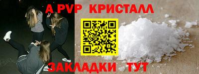 Альфа ПВП Новодвинск