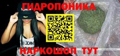 гашик Новозыбков