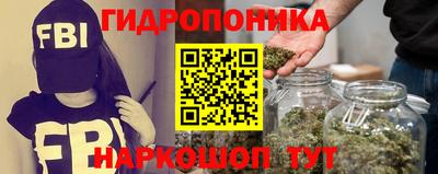 гашик Новозыбков