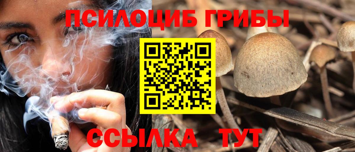 Псилоцибиновые грибы Cubensis Янаул